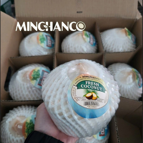 FRESH YOUNG COCONUT (DIAMOND CUT)