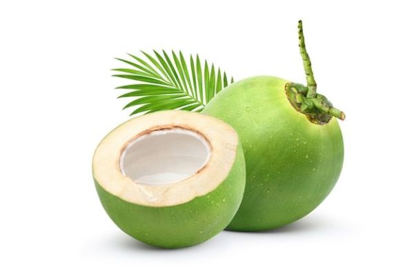 FRESH COCONUT